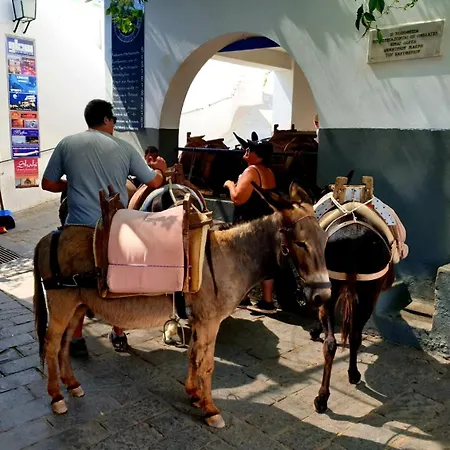 Διαμέρισμα Yiotas Traditional House Pilona *